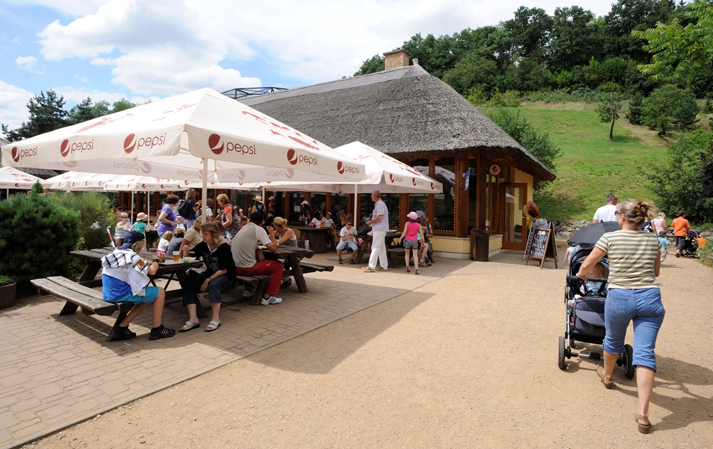 l_zooplzen-CMYK-1 PNG.png, 38kB